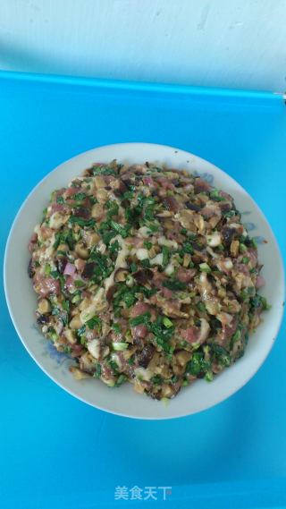 香菇肉包子的做法步骤：6