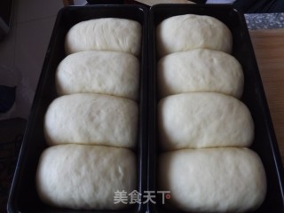卡士达超软肉松包的做法步骤：16
