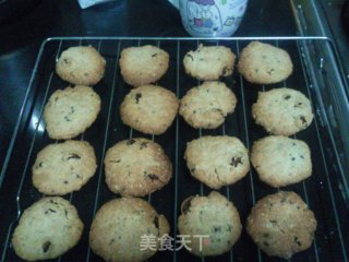 摩卡燕麦葡萄甜饼的做法步骤：7
