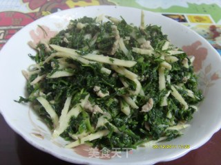 荠菜冬笋炒肉丝的做法步骤：4