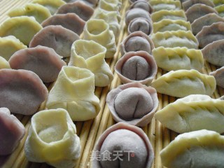 双色莲藕饺子的做法步骤：6