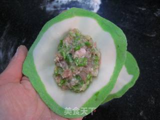 花开富贵—烫面白菜蒸饺的做法步骤：19