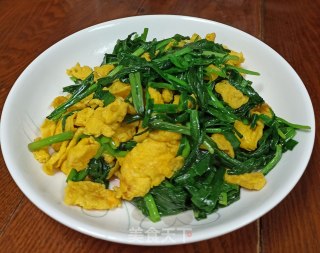 鸡蛋炒韭菜的做法