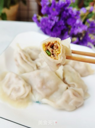 白菜猪肉馅饺子的做法