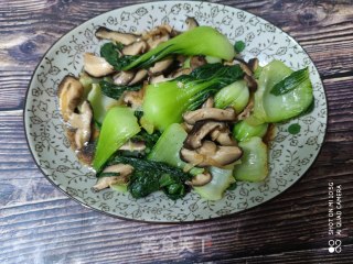 油菜炒蘑菇的做法