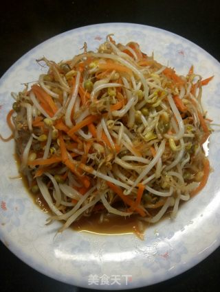 胡萝卜辣炒绿豆芽的做法