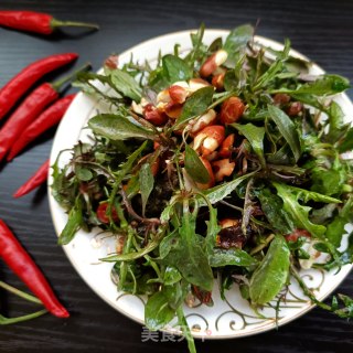 “春季野菜”花生拌苦菜的做法