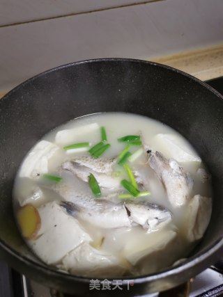 野生鲫鱼豆腐汤的做法