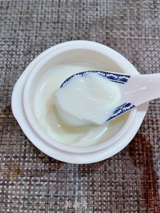 鱼胶炖牛奶的做法