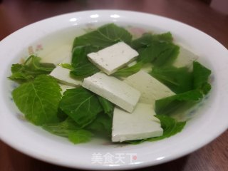 桑叶豆腐汤的做法