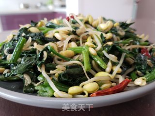 菠菜炒黄豆芽的做法