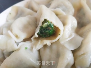茴香馅水饺的做法