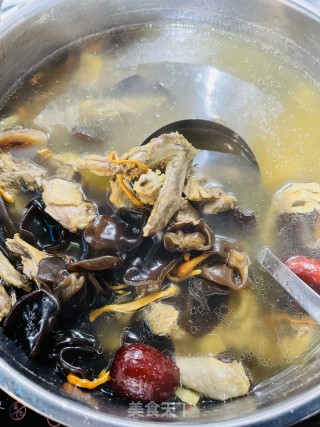 虫草木耳鸽子汤的做法