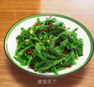 拌南瓜尖的做法