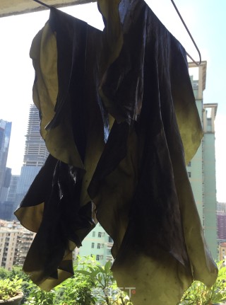 干海带正确泡发法的做法