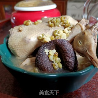 陈皮绿豆鸽子汤的做法
