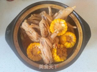 鸡翅鸡爪煲的做法