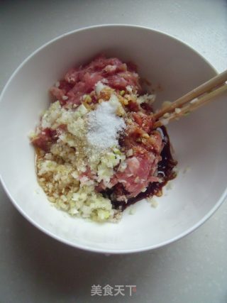 外焦里嫩饺子的升级吃法----白菜猪肉锅贴的做法步骤：6