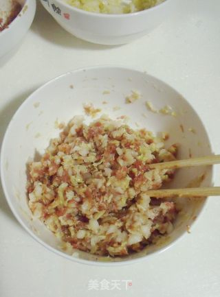 外焦里嫩饺子的升级吃法----白菜猪肉锅贴的做法步骤：8