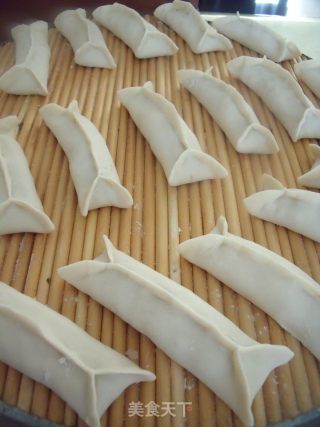 外焦里嫩饺子的升级吃法----白菜猪肉锅贴的做法步骤：14