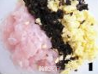 榨菜鱼肉小煎饺的做法步骤：1
