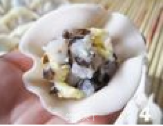 榨菜鱼肉小煎饺的做法步骤：4