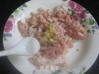 团团圆圆萝卜丸的做法步骤：3