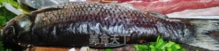 自创草捆鱼的做法步骤：1