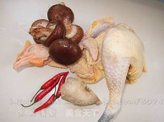 家常口味鸡的做法步骤：1