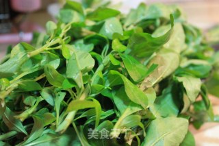 上汤枸杞叶的做法步骤：1