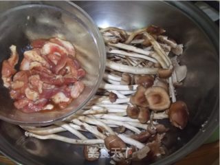 茶树菇肉片汤的做法步骤：1