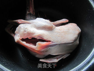 水鸭花旗参汤的做法步骤：5