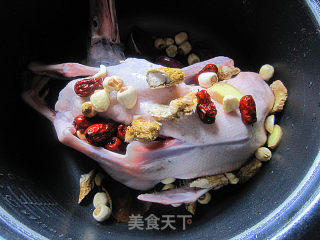 水鸭花旗参汤的做法步骤：6