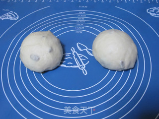 65度汤种葡萄干面包的做法步骤：5