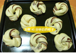 超软豆沙卷—面包的做法步骤：10