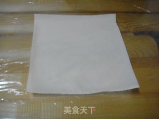 让我们迎接春天的来临 制作春卷的做法步骤：8