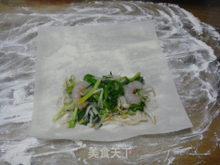 让我们迎接春天的来临 制作春卷的做法步骤：9