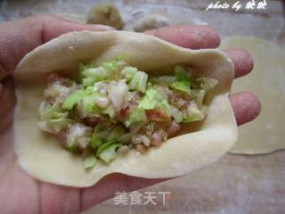 榨菜包菜肉馅饺子的做法步骤：6