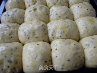 健康小吃-----黑芝麻苹果小餐包的做法步骤：12