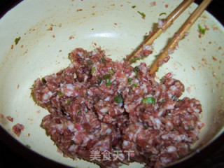 不太正宗的意大利咖喱饺子的做法步骤：2
