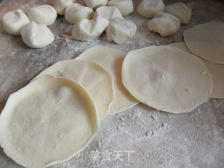 白菜虾皮鸡蛋饺子的做法步骤：8