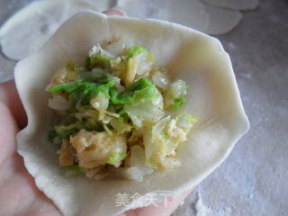 白菜虾皮鸡蛋饺子的做法步骤：9