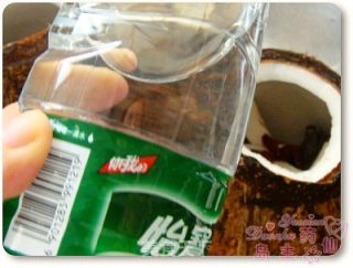 椰香飘进岭南来——原只椰子炖竹丝鸡的做法步骤：4