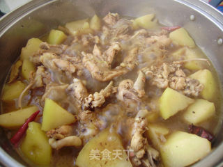 家常菜----鸡肉炖土豆的做法步骤：8