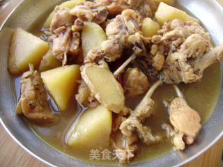 家常菜----鸡肉炖土豆的做法步骤：9