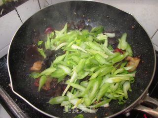 爱的【香芹木耳肉片】的做法步骤：11