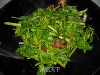 腊味炒家乡菜心的做法步骤：5