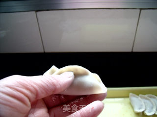 紫甘蓝菜肉水饺的做法步骤：6