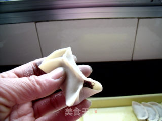 紫甘蓝菜肉水饺的做法步骤：7