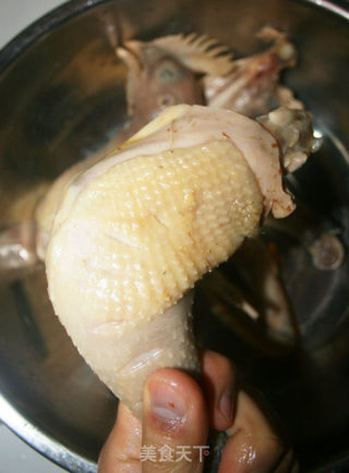 【让你吃得欲醉的鸡肉】龙飞凤舞醉鸡的做法步骤：5